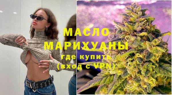 МДПВ Ельня