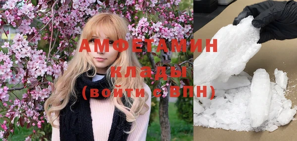 МДПВ Ельня