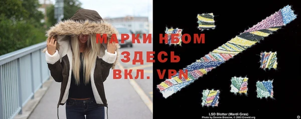МДПВ Ельня