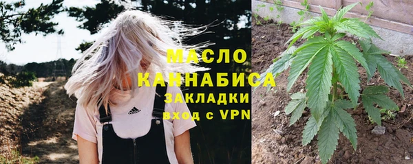 шишки Дмитриев