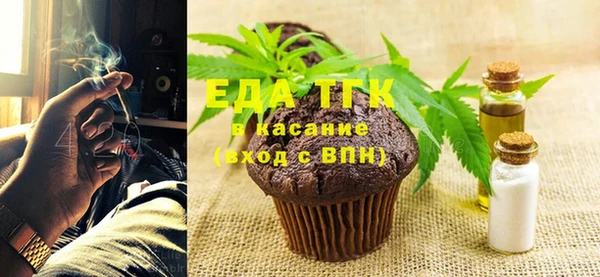 МДПВ Ельня