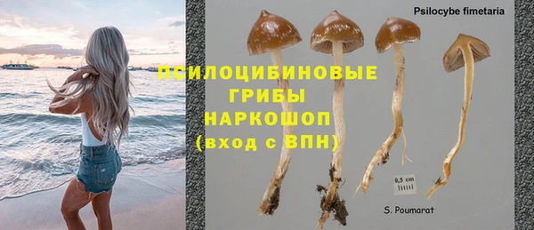 МДПВ Ельня