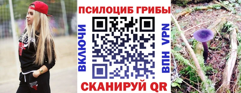 Псилоцибиновые грибы GOLDEN TEACHER  где найти наркотики  Шуя 
